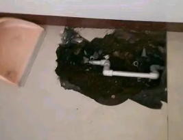仁和卫生间测漏水多少钱
